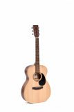 Ditson G-10 acoustic guitar