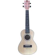 Top 2024 concert ukulele