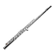 Sonata silver flute - WINSOFLE100S