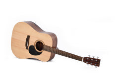 Ditson D-10 acoustic guitar