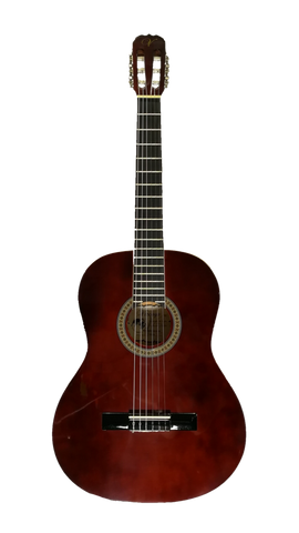 Don Franscisco Vizcaya fullsize classic guitar 39" with bag