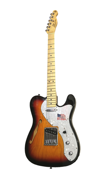 Sx Thinline Telecaster Style Hollow body Electric Guitar- TE