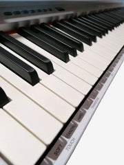 Keyboards and pianos