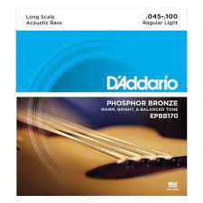 D'Addario 4 or 5-String Acoustic Bass Phosphor Bronze Strings