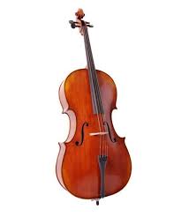 Mason Cello 4/4 size-AL2144A with bow and bag