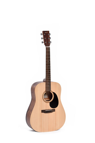 Ditson D-10 acoustic guitar
