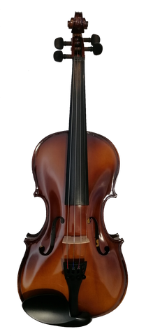 Flame Lily Matt Finish Violin Outfit