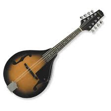 Savannah "F' hole mandolin sunburst - SSA-100-VS